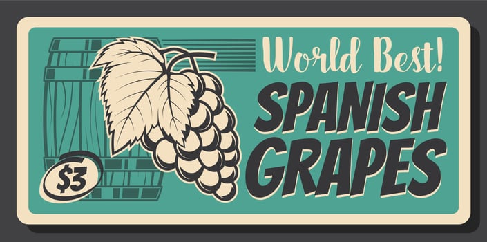Spanish ripe grape fruits, vector vintage card