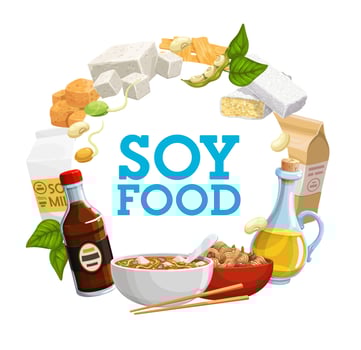 Soy beans, soya milk and oil, tofu, tempeh, miso vector