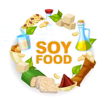 Soybeans, soy milk, oil, tofu and soya sauce icon vector