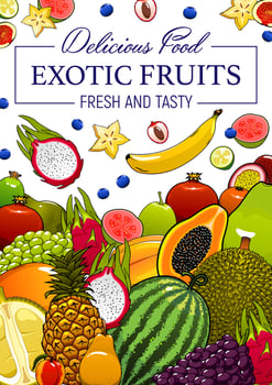 Exotic tropical fruits cartoon vector poster