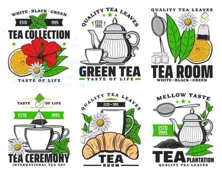 Herbal green and black tea icons vector