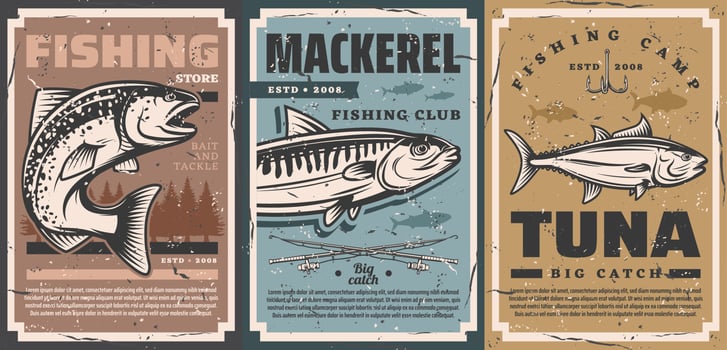 Fishing camp, fisher equipment lures store posters vector