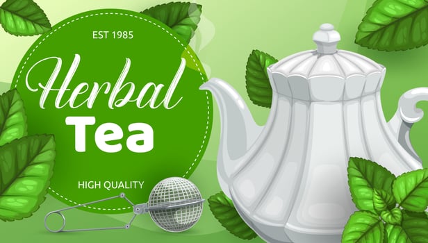 Green or herbal tea leaves with teapot, mesh spoon vector