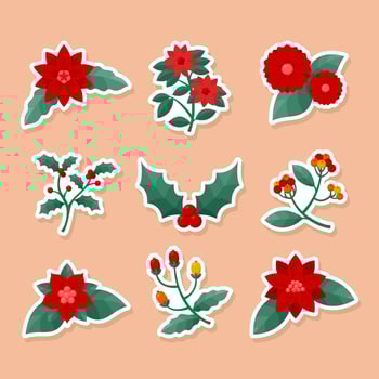 Set of Red Poinsettia Flower Elements vector
