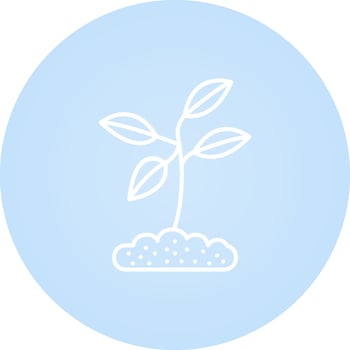 Plant Vector Icon