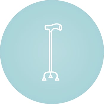 Walking Stick Vector Icon