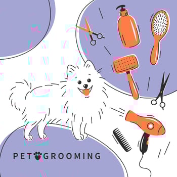 Pet care salon. Pet grooming. Cartoon dog character with different tools for animal hair grooming, haircuts, bathing, hygiene. Pet care salon concept. vector