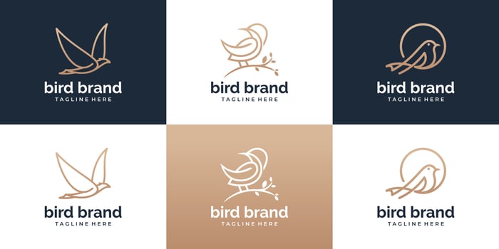 Set of Bird logo template with line art style. Creative abstract bird logo collection. vector