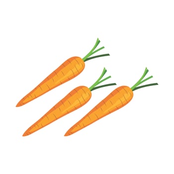 Fresh carrot vector design