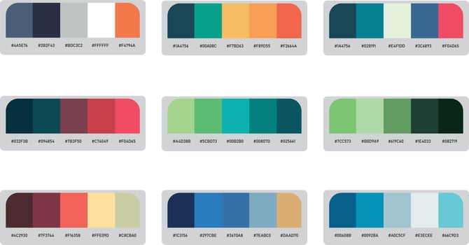 Color palette set vector
