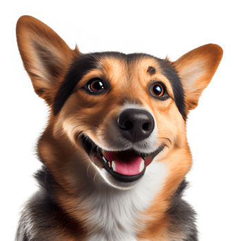 The dog smiles because he is happy. png