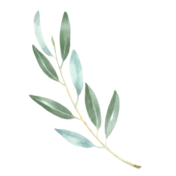 watercolor leaves clip art png