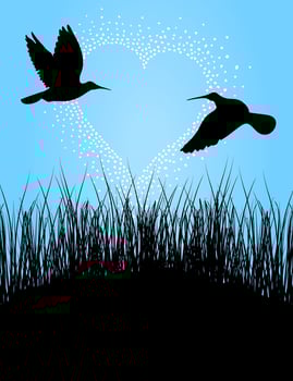 Two birds fly on a meeting. A vector illustration