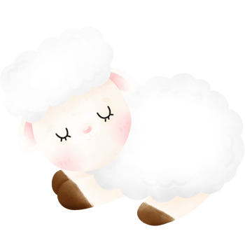 Cute Sheep illustration png