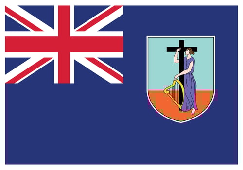 National flag of Montserrat - Flat color icon. vector