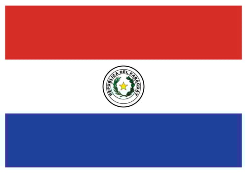 National flag of Paraguay - Flat color icon. vector
