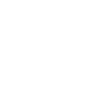 Feather Composition for Logo, Ornate, Decoration, Website, Art Illustration or Graphic Design Element. Format PNG