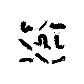 caterpillar animal set collection icon vector