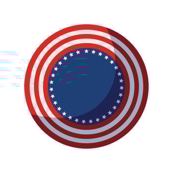 rosette US flag color vector
