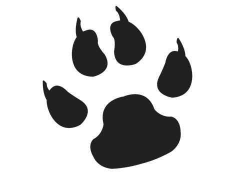 Transparent dog paw icon png, vector illustration of an dog paw icon in dark color and transparent background png