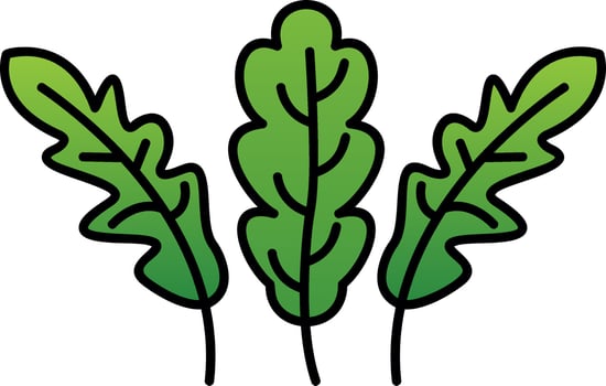 Arugula Vector Icon Design