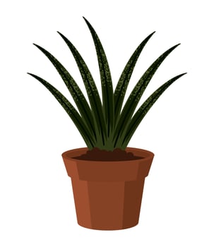 succulent houseplant icon vector
