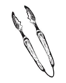 tweezers bbq sketch vector