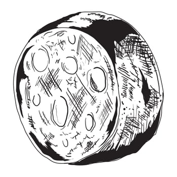 cheese food icon vector