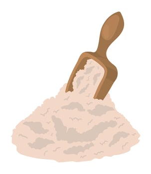 rice grains and spoon vector