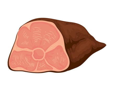 meat leg pork vector