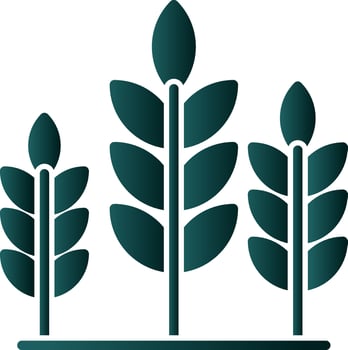 Wheat Vector Icon Design