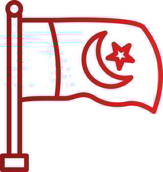 Pakistan Flag Vector Icon