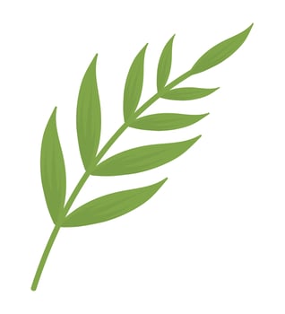 bamboo branch leaves vector