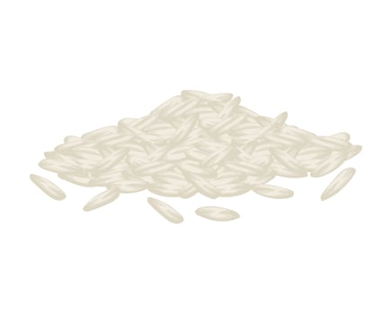 rice grains icon vector