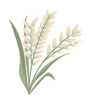 rice branches and leaf vector