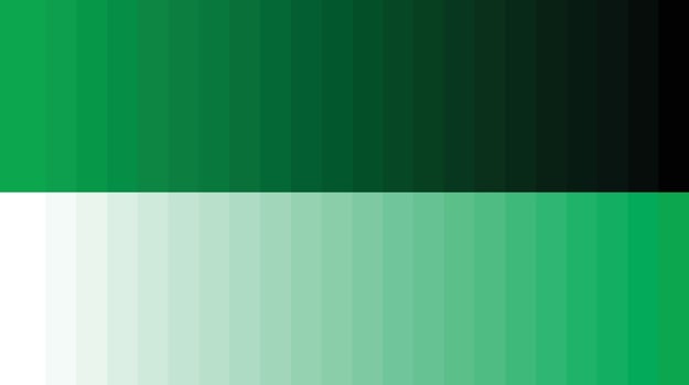 Color palette green vector