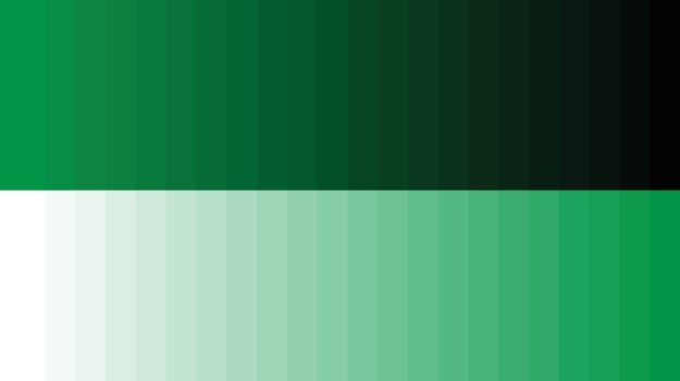 Color palette green vector