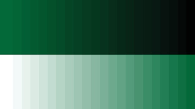 Color palette deep green vector