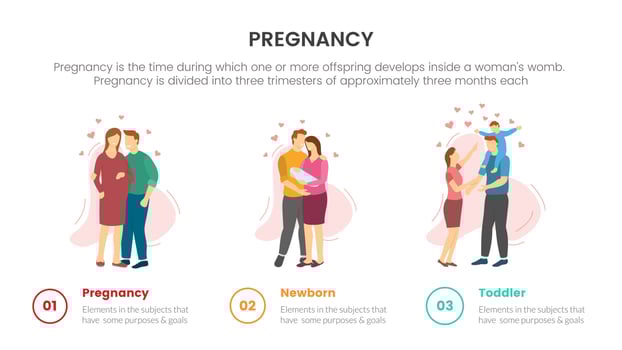 three stage from belly newborn and toddler for pregnant or pregnancy infographic concept for slide presentation with 3 point list vector