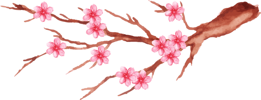 sakura in the branch illustration png