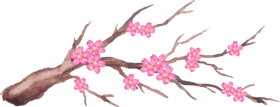 hand drawn of sakura in the branch png