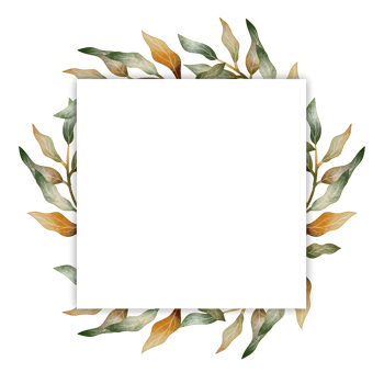 Leaf Watercolor Frame png