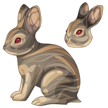 A set of cartoon Christmas drawn animals. Breed of Britannia petite rabbit vector