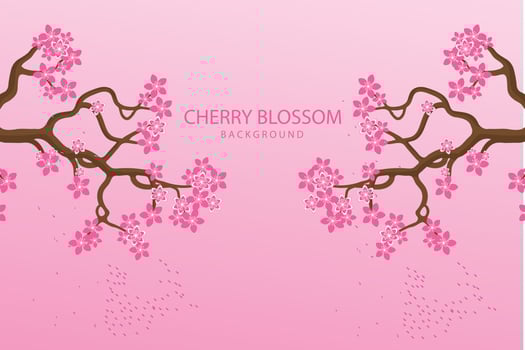 Cherry blossom background design. Free vector beautiful cherry blossom background