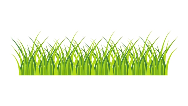 Grass banner vector isolated on white background