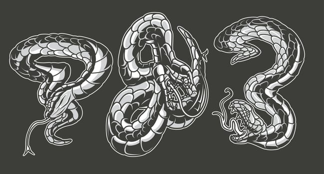 Black and white vector illustrations of snakes