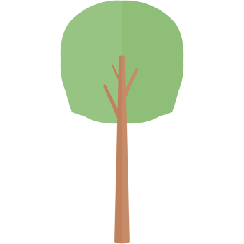 Flat Tree Nature Aesthetic Collection Set png