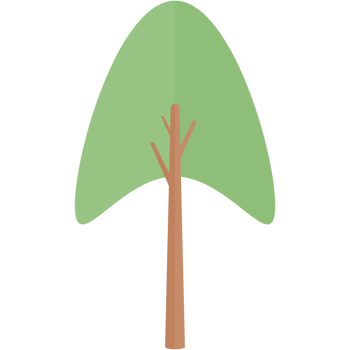 Flat Tree Nature Aesthetic Collection Set png