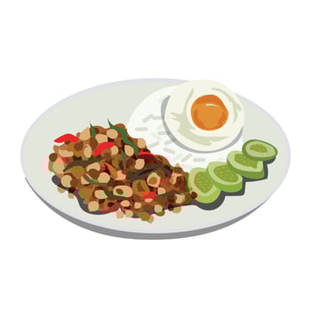 Vector illustration of Thai food on a plate