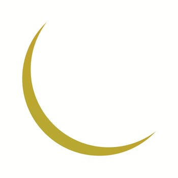 Unique New Moon Vector Glyph Icon